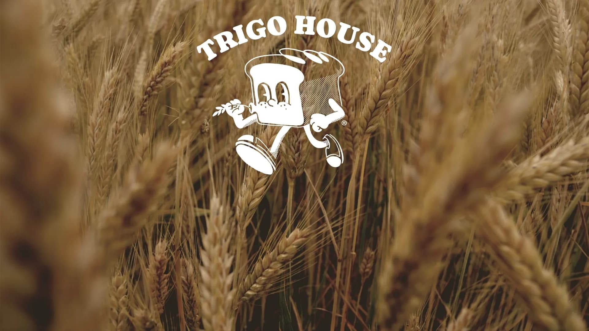 Logo de Trigo House sobre un campo de trigo
